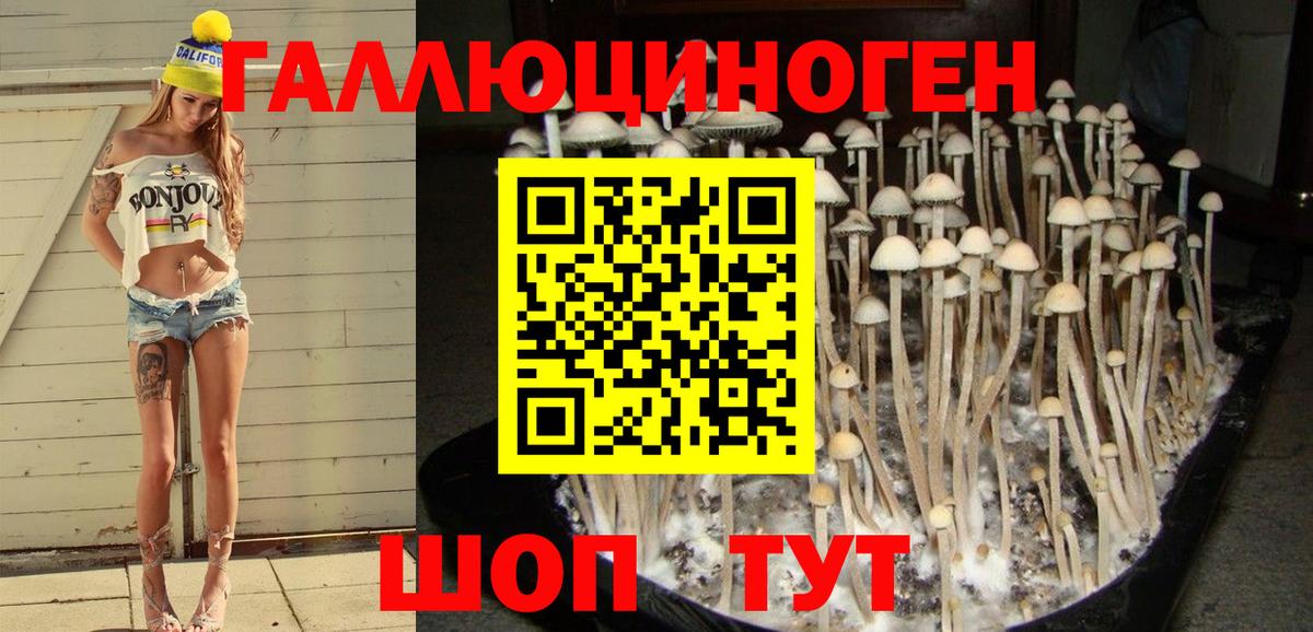 Галлюциногенные грибы MAGIC MUSHROOMS  Вход с VPN  Чернушка 