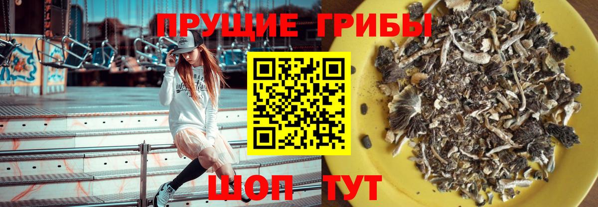 Псилоцибиновые грибы MAGIC MUSHROOMS Чернушка
